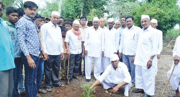 Tree Plantation Drive and Distribution of Plants to School Students